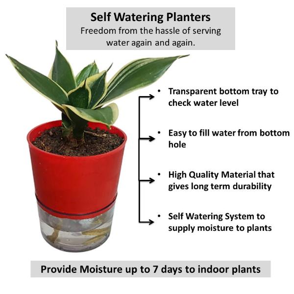 Round Self Watering Planter and pots benefits