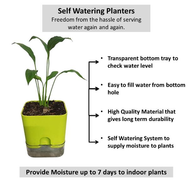 Self Watering planters and pots