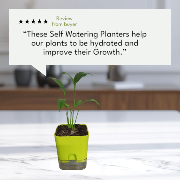 Square Self Watering planters and pots customer reviews